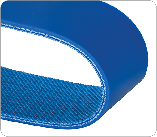 Duck 10 Blue — Bandas transportadoras | Belter Argentina