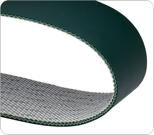 Pure 10 Green — Bandas transportadoras | Belter Argentina